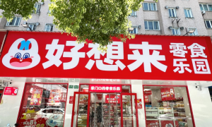 万辰集团半年报：核心业务驱动，营收与盈利能力显著增强