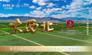 央视《大西北》播出！这家酒庄凭什么成为“西北逆袭”中最震撼的故事？