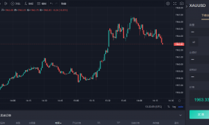 泰弘HYTP5平台打造正规高效便捷交易平台—TAI HONG FOREX LIMIED