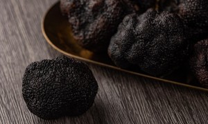 食品行业风味流行趋势，黑松露风味占据品类高地