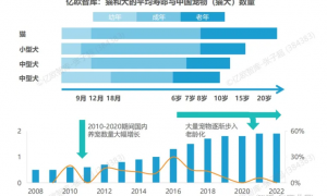 宠物品牌优倍滋，如何对“老年犬猫”主粮市场进行创新？