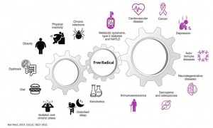 革命性升级 Beyond Nature蓓养乐携第五代生命密码进军中国