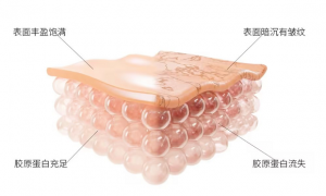 Beyond Nature蓓养乐携胶原三肽打开胶原蛋白新风尚