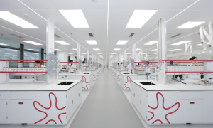 水羊股份：以东方珍稀原料，铸东方护肤基石