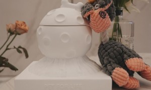 宠亿生七大系列产品  极大满足不同客群需求