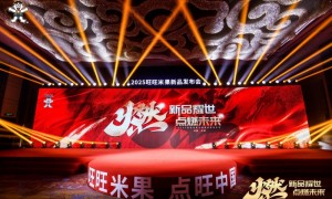 新品耀世·点燃未来——旺旺于长沙重磅发布2025米果新品