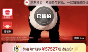 真顶流！魔法原子春晚同款“国宝熊猫机器人”拍卖落槌 单台成交价57,527元