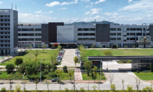 皮阿诺2025年报解读：周期承压下主动谋变，减亏增效夯实发展底气