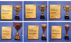 荣耀加冕，实力见证！风景i9斩获NEVC2026挑战赛六项全能大奖