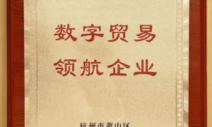 恺英网络董事长金锋——恺英网络获评“数字贸易领航企业” 开启发展新篇章