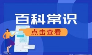 世界斯诺克三大天才都是有谁？中国斯诺克选手排名