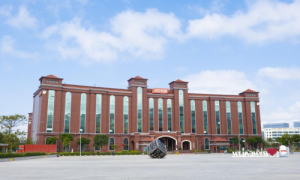 打造极致的科学营养产品力，汤臣倍健营收数据亮眼