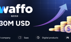 全球支付平台Waffo宣布完成3000万美元融资，加速数字经济全球化基础设施建设