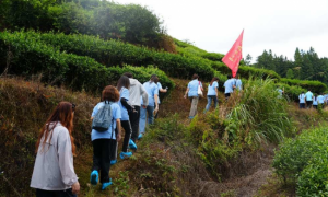 福州大学30名师生赴武夷山开展暑期社会实践