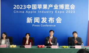 首届全国性苹果全产业链博览会 将于11月8日在上海开幕