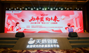 天鹅到家 鹅宝计划：做美好造梦者 用心铺设通往“春天的路”