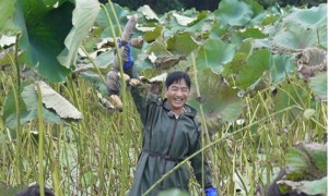 荆楚好菜配好酒！央视一套《寻味山海》解锁湖北风味