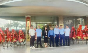 海南省龙健投资盛大开业，开启隐茶杯行业发展新篇章!