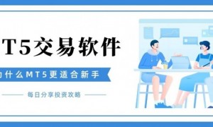 哪款黄金交易软件更适合炒金新手？MT5交易软件推荐下载