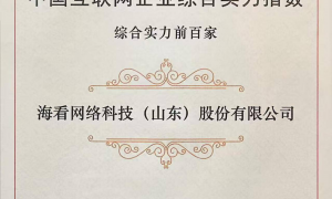 海看股份第七次入选“中国互联网百强企业”