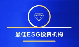 蓝湖资本荣膺 IPO 早知道「2025 年度最佳 ESG 投资机构」