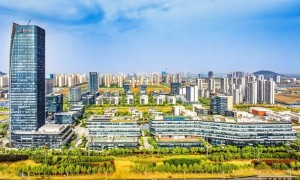 合肥：“谷”足干劲向前冲