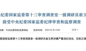 不足1月3个中纪委“内鬼”被揪出：信任的崩塌与反思