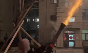 加特林烟花竟成兔年第一网红