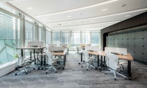 陆家嘴金融商务生态报告：从“地标崇拜”到“产业深耕”的选址逻辑重塑