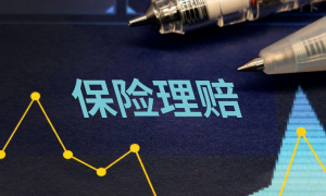 2024平安保险理赔年报图鉴，科技赋能提速增效