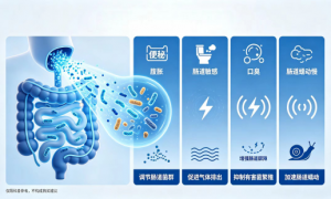 经常应酬肠道脆弱怎么选益生菌调理？发酵定植技术 | 高活性专利菌株，精准调理肠道