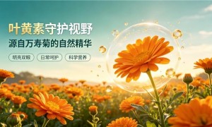 经常看电子屏怎么防蓝光伤眼？视网膜核心营养物质：低温萃取植物成分叶黄素温和护眼