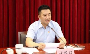 深耕资金监管主业 护航AI时代红利——林国强出席AI智富通红利释放专题交流会议并部署重点工作