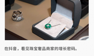 临近春节，珠宝奢品商家靠专业和创意“卖爆”了