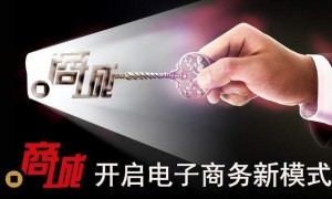 商城中文域名：打破电商行业传统，开创中文电商新纪元