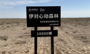 让每一份善意都被看见，米连科技用数字技术重塑公益新体验