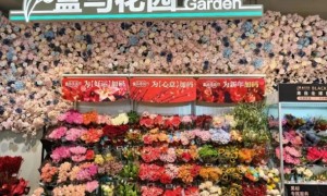 盒马鲜生太原首店今日开业