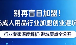别再盲目加盟！2026 成人用品行业加盟创业避坑指南