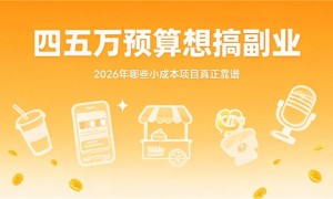 四五万预算想搞副业，2026年哪些小成本项目真正靠谱？