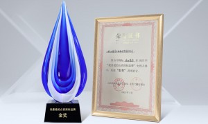 金奖见证实力，音乐传递感恩 |《请美好的在一起》解压音乐会圆满落幕