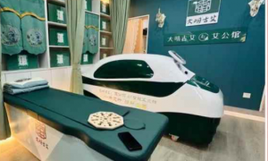 大明古艾闪耀广州艾博会，引领蕲艾产业新风尚