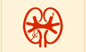 济南肾病医院靠谱?能医保医保报销吗肾脏健康是如何被掏空的?
