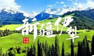 科技强国文化兴国 曹德旺、华国中前往新疆和内蒙古交流调研