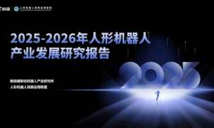 2025人形机器人行业报告：宇树出货量与市场占比双第一